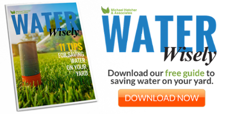 Download your water savings guide