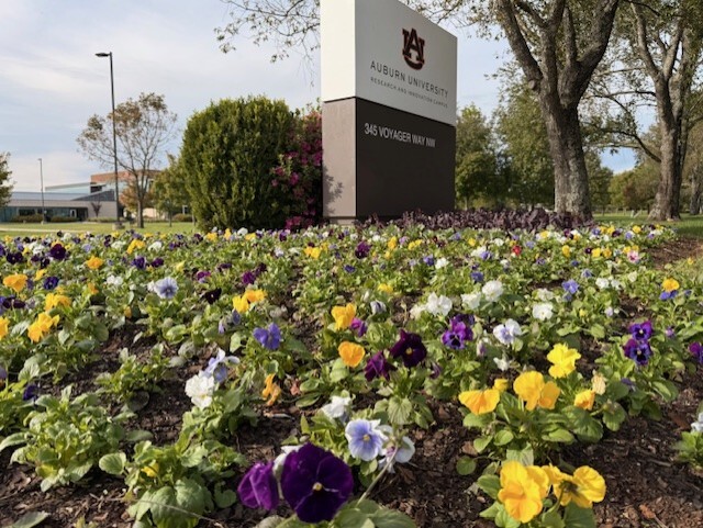 Auburn_FallPlantings_05_102425