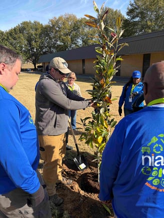 Byhalia Tree Planting 3_20251113_Ginny Shikle