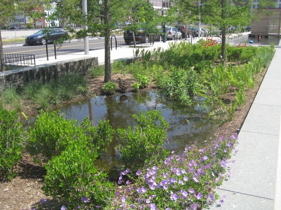 rain garden to prevent storm damage