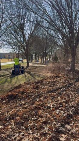 Huntsville Branch_Fall Leaves 2_20251125_Ginny Shikle