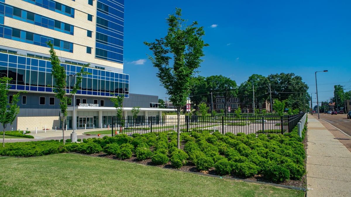 Methodist University Hospital Commercial Landscaping