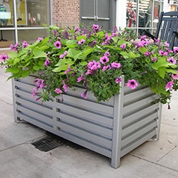 container garden at commercial property landscape