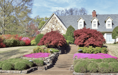 Lawn Services