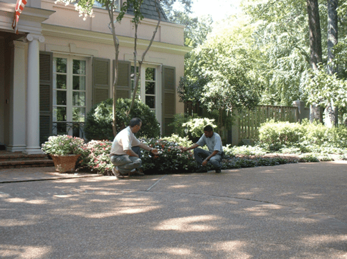 MH&A Working at an Estate