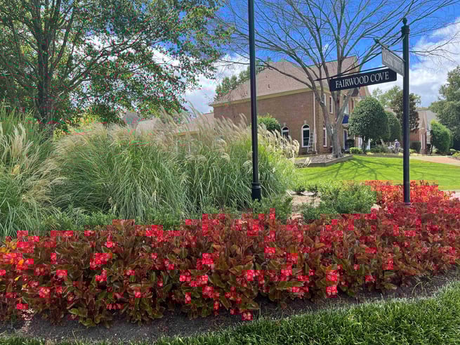 Seasonal Color at Southwind 1_20230815_Ginny Shikle