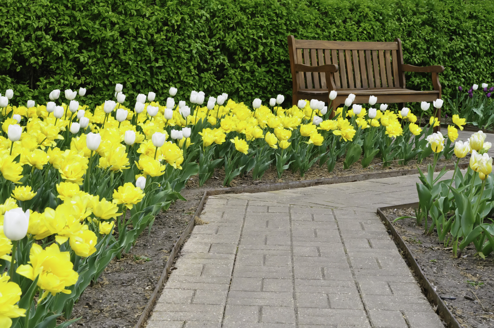 Walkway and bench with flowers