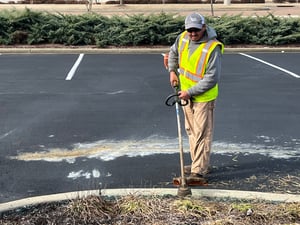 String Trimmer_Spring Cleanup_Legacy_Ginny Shikle