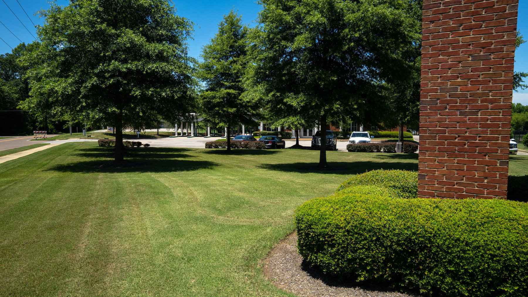 Clean mulch beds