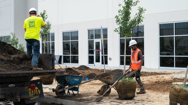 Commercial irrigation installation construction planting 7-1