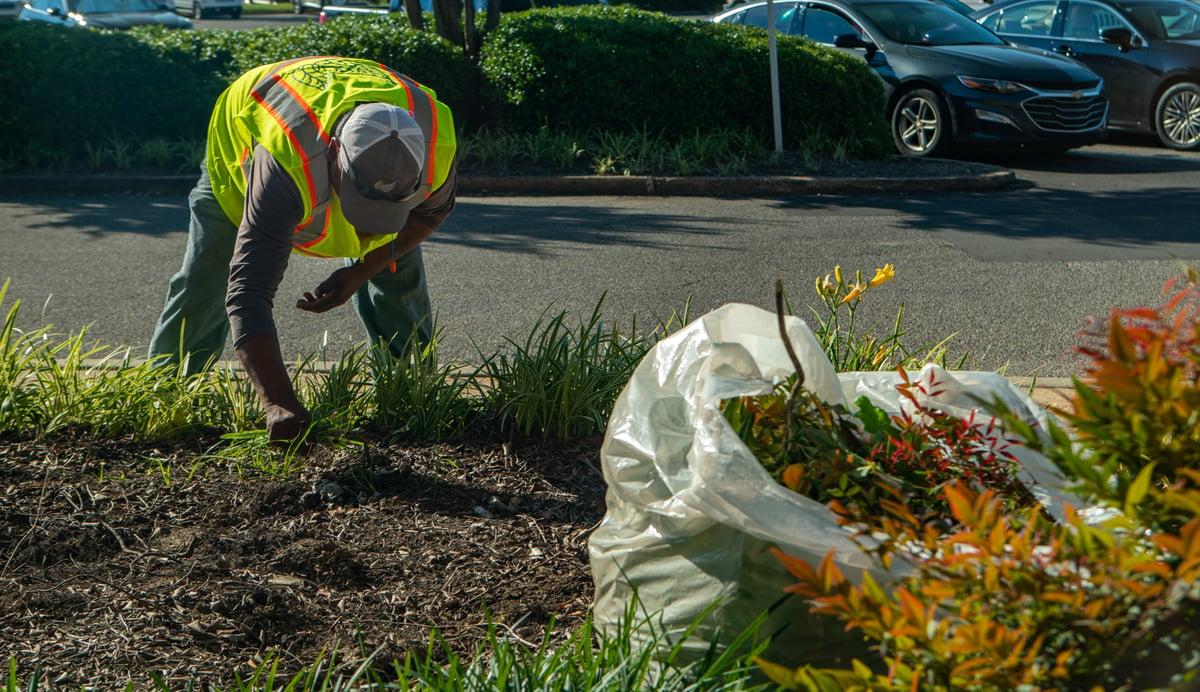 Commercial landscaping maintenance crew weeding