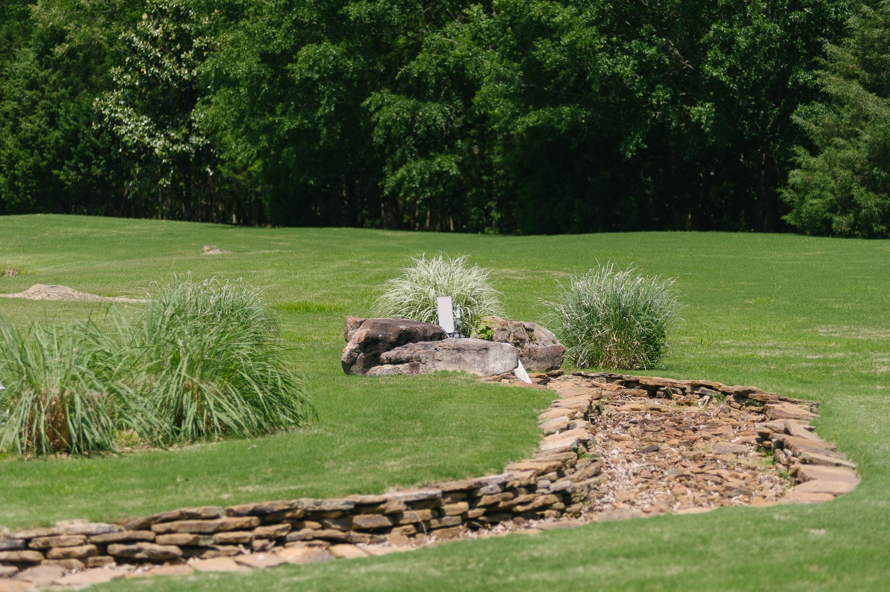 Dry creek bed in Memphis