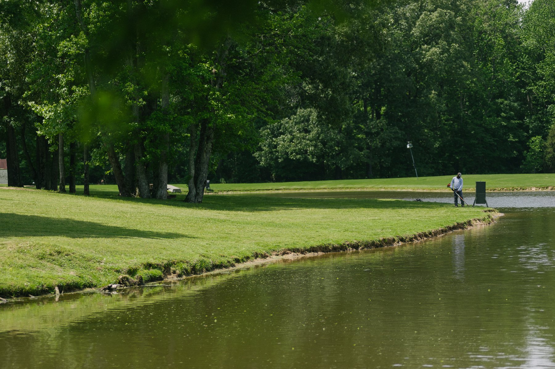 Commercial pond maintenance