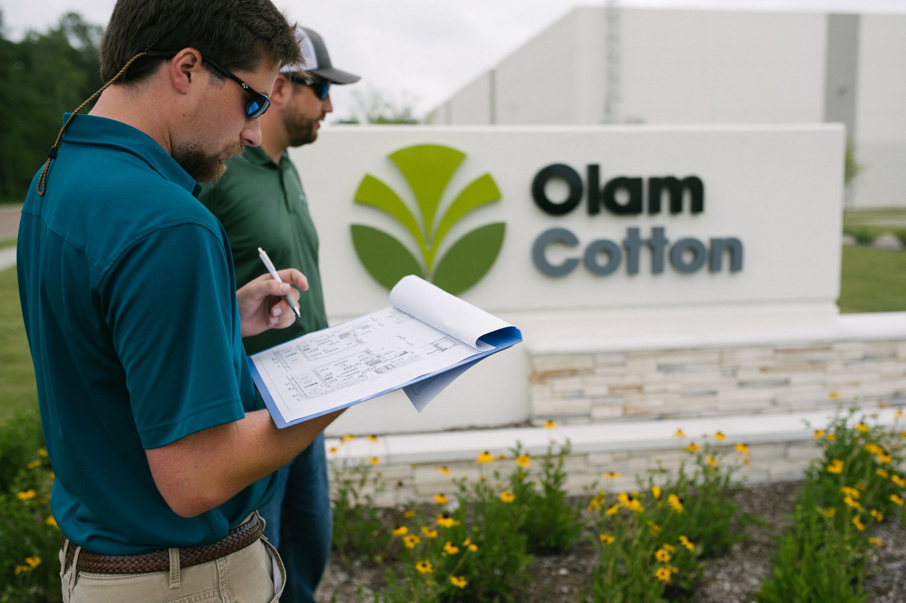 commercial landscaping around sign