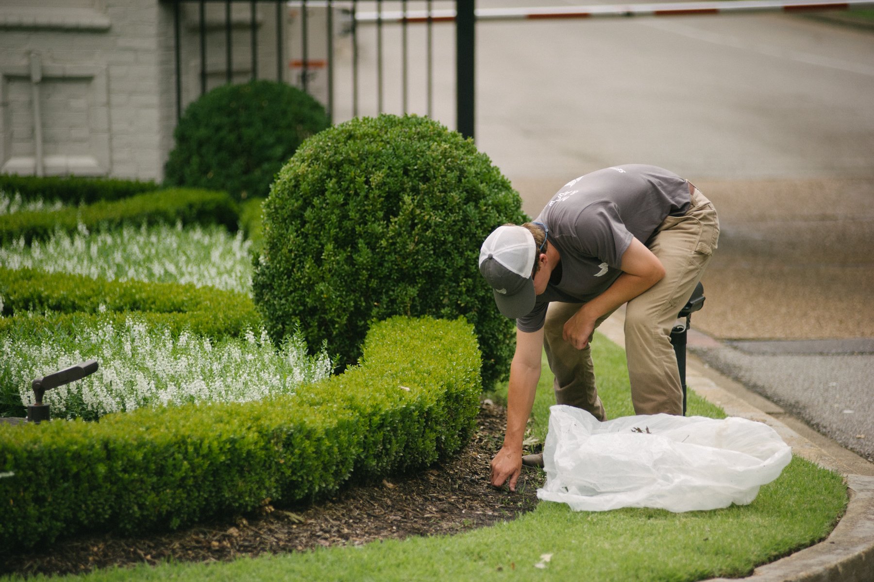 Commercial landscaping crew cleaning up trash