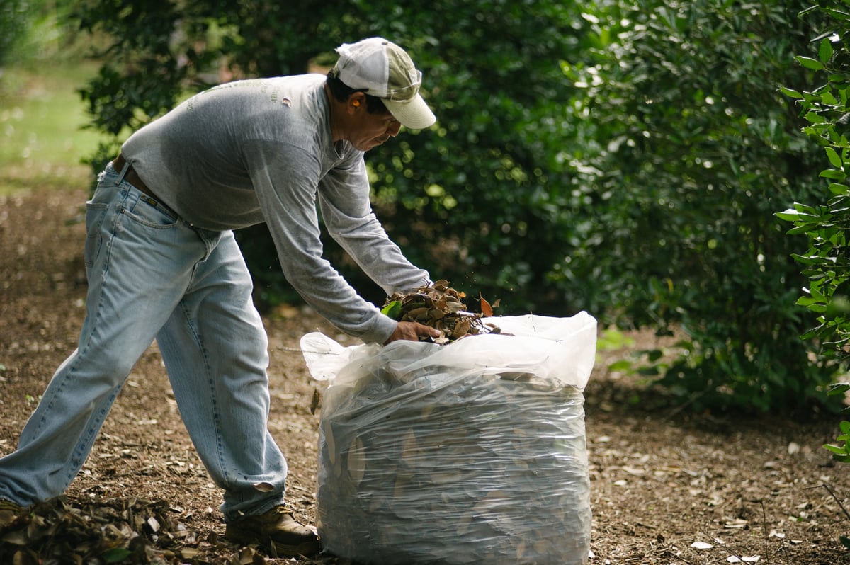 commercial landscaping team removes leaves from property