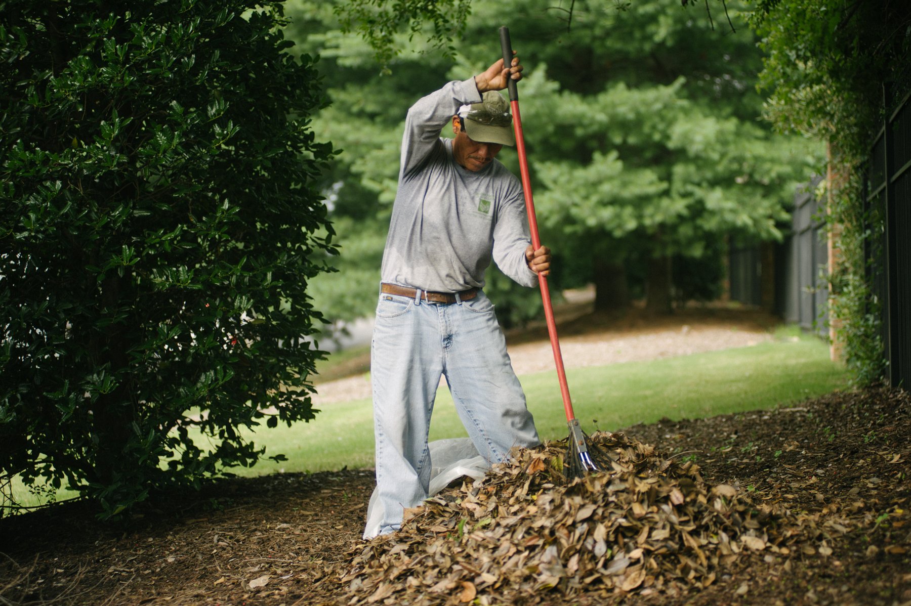 commercial landscaping crew raking up leaves