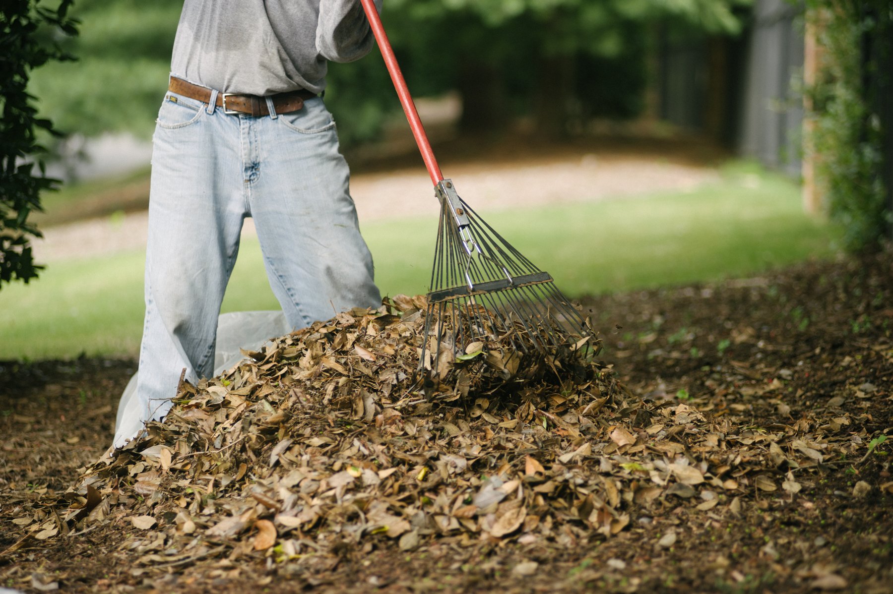 commercial landscaping maintenance leaf removal