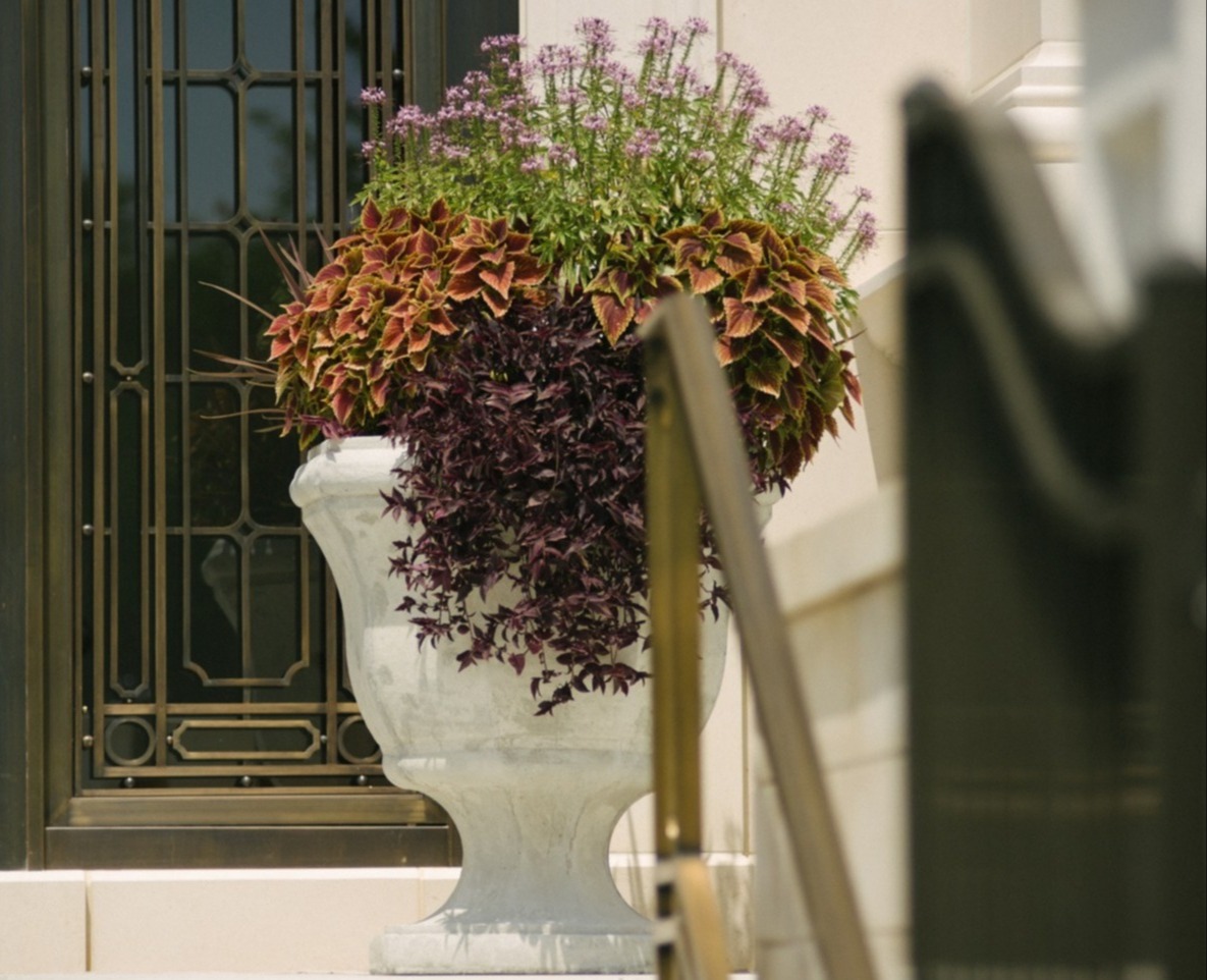 Container planting in entrance