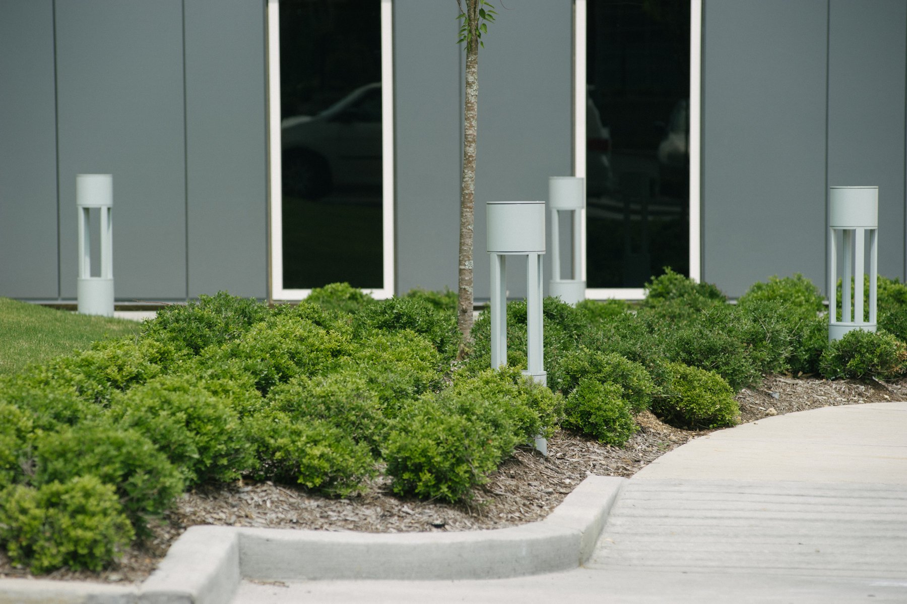 Shrubs in mulch on commercial landscape