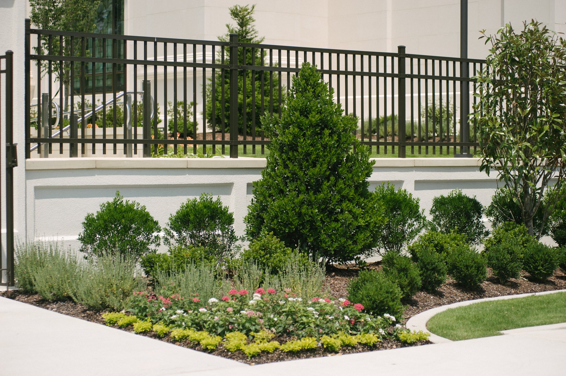 commercial landscaping walkway with plantings and shrubs