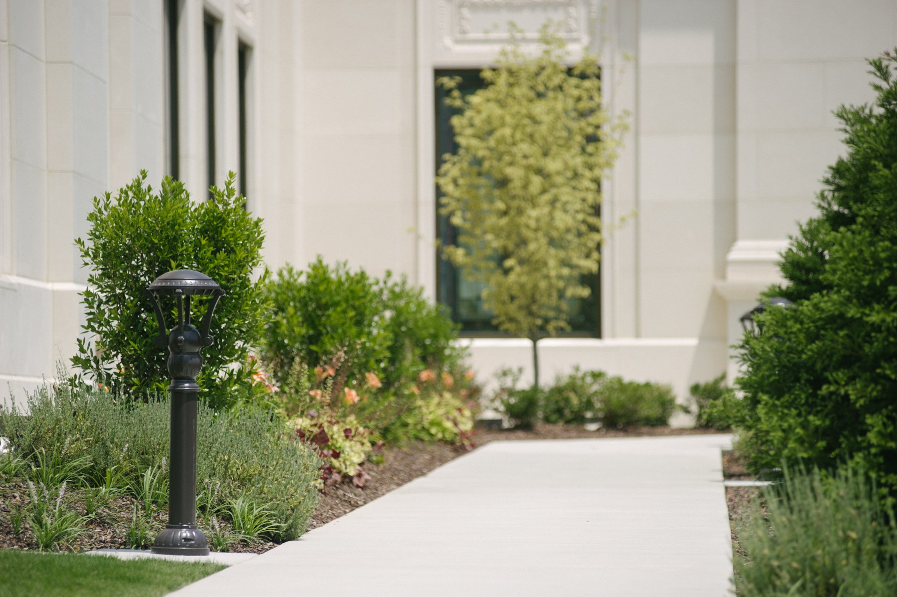 commercial landscape plants on walkway designed for curb appeal