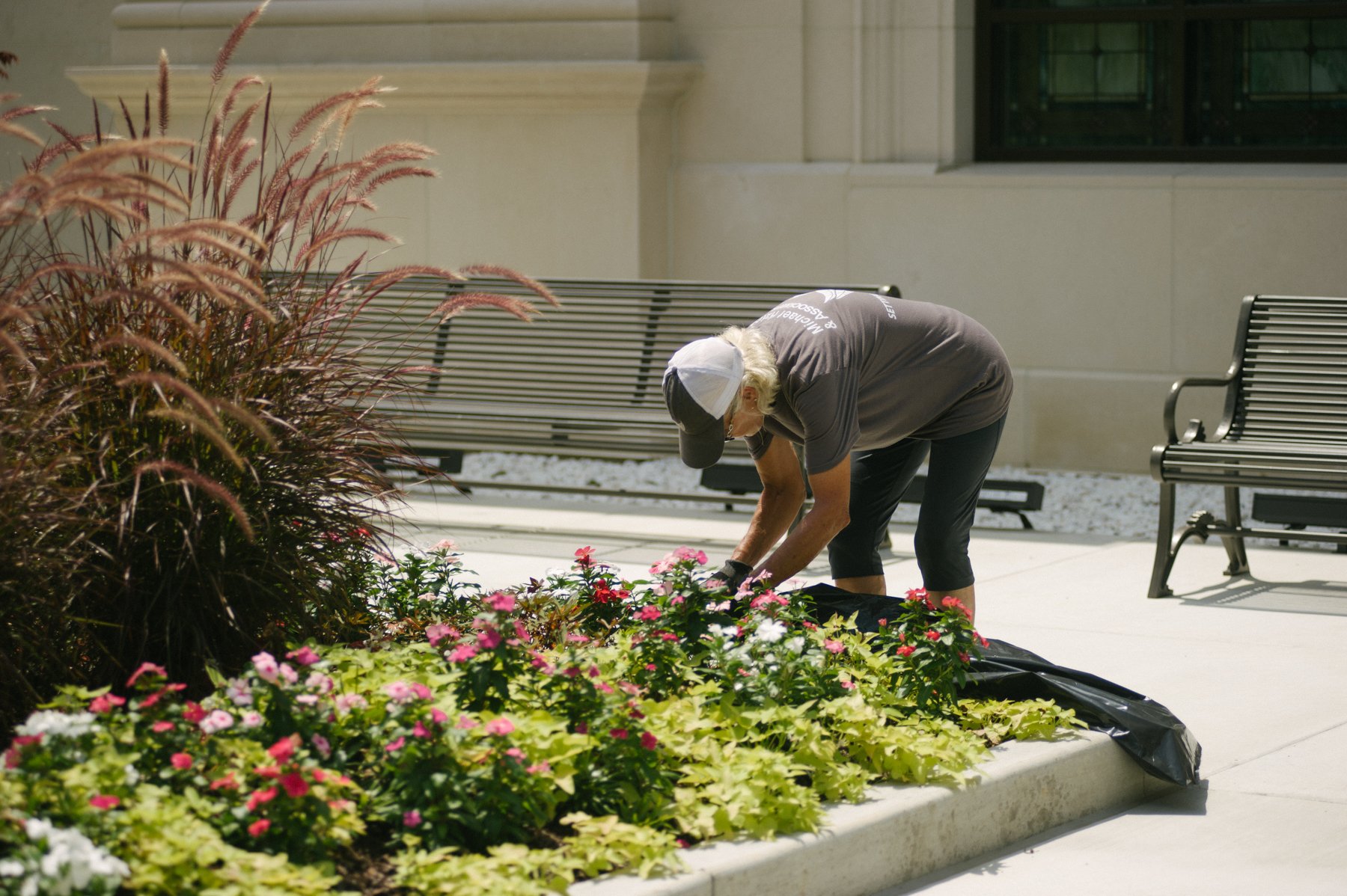 Commercial landscaping enhancements