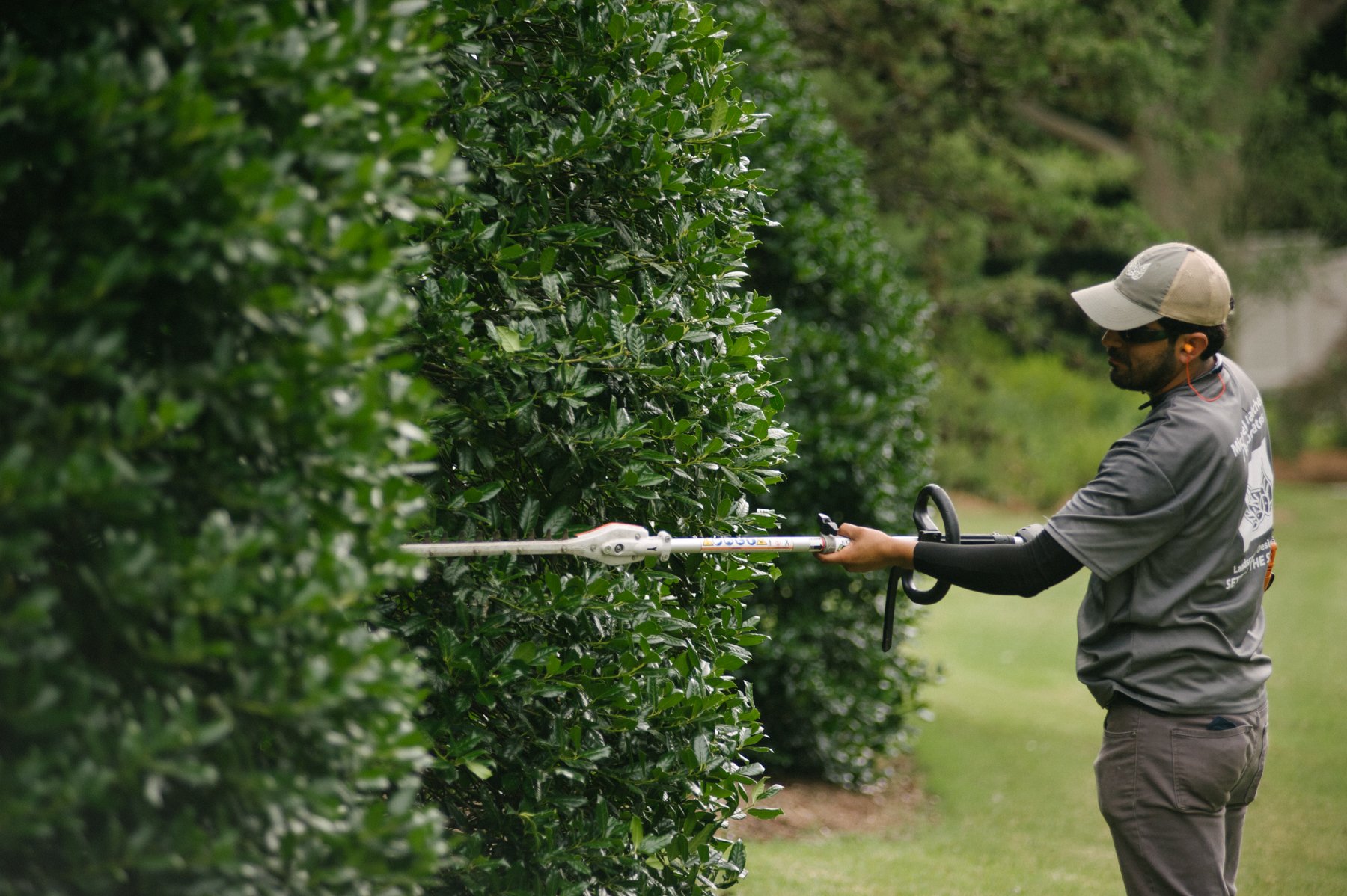 commercial landscape employee trimming shrubs