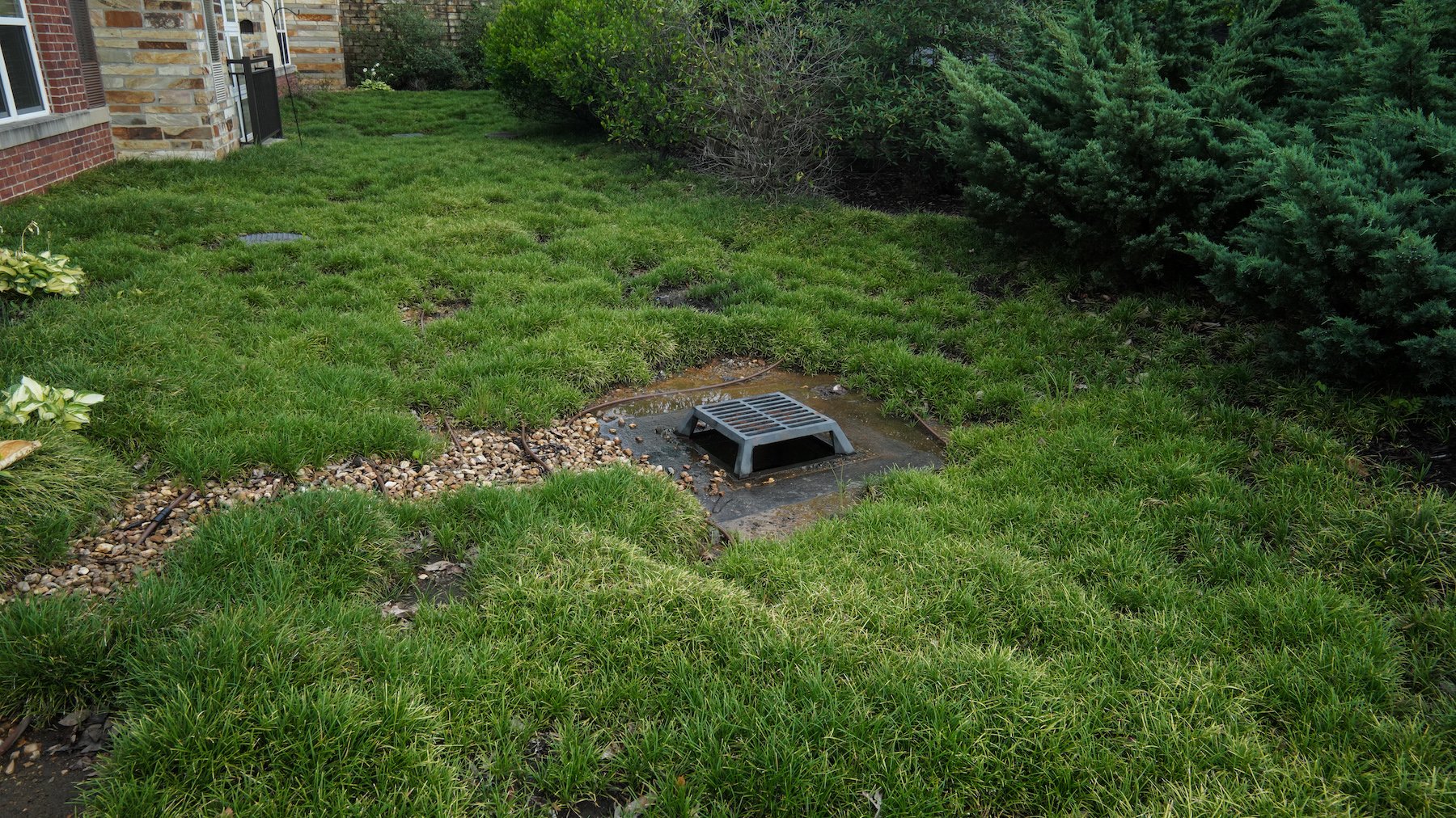 Storm drain clean up