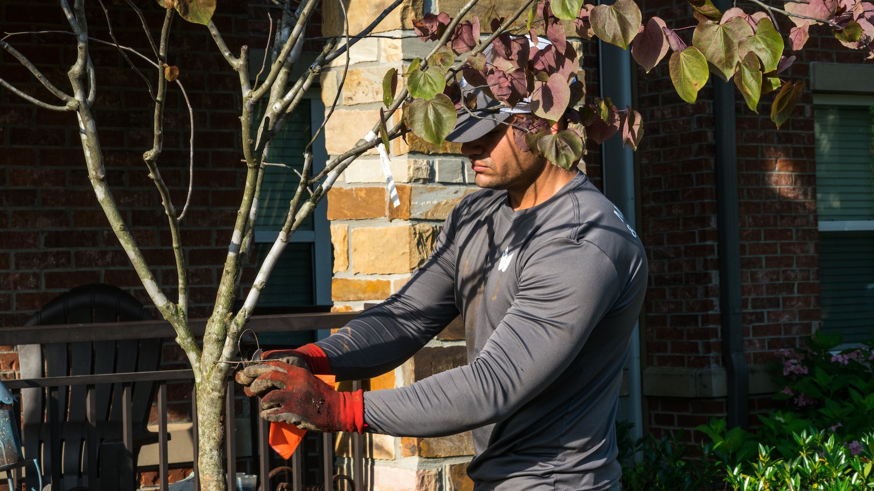 landscape professional prunes trees at industrial property