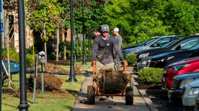 MH-RetirementCommunity Tree Removal 2