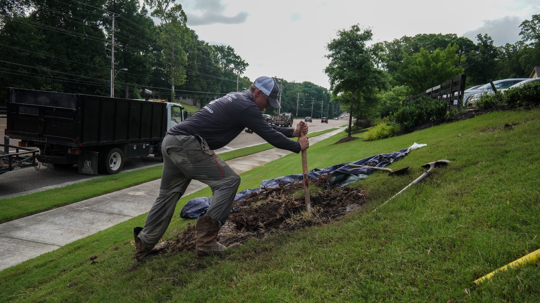 Landscape team planting a tree