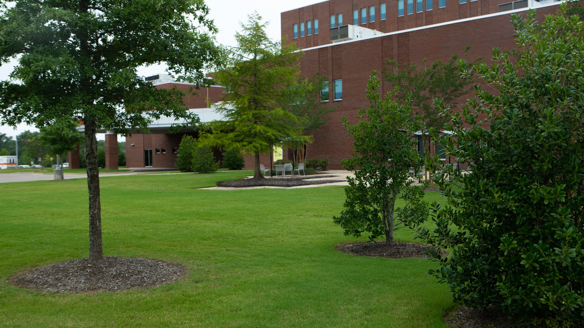 Methodist Olive Branch Hospital landscape and trees