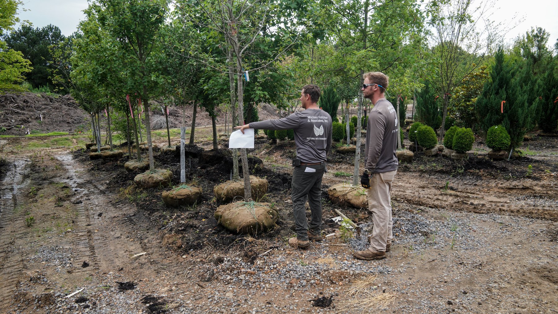 Crew picking out trees