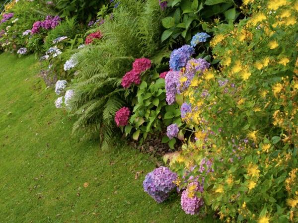 flower bed flower bed