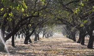 Irrigation system upgrades