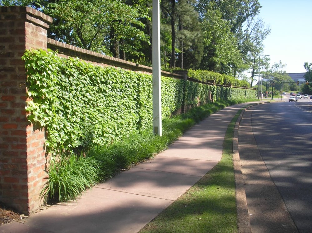 hatcher_commercial_lawn_maintenance_memphis