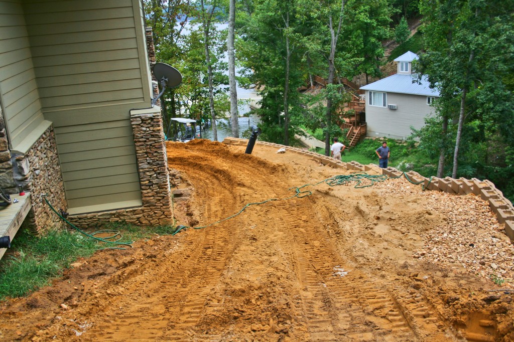 Grass Seed vs. Sod The Pros and Cons