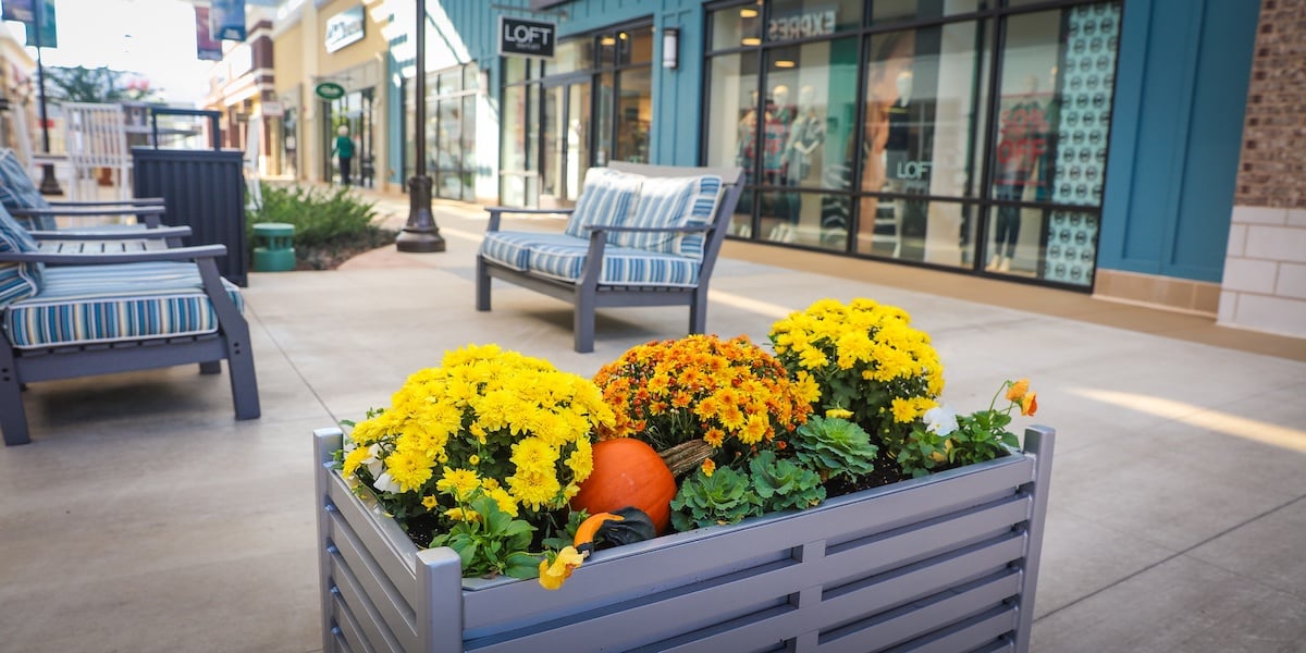 Shopping center landscaping flowers