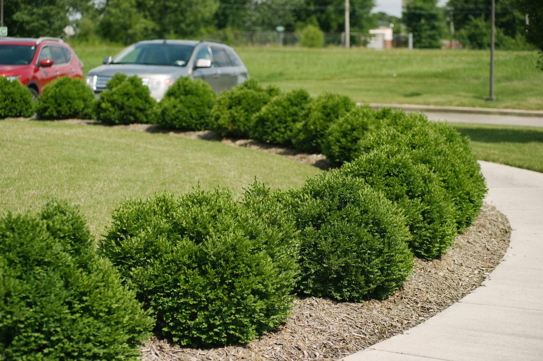 Putting plants in the right space to survive