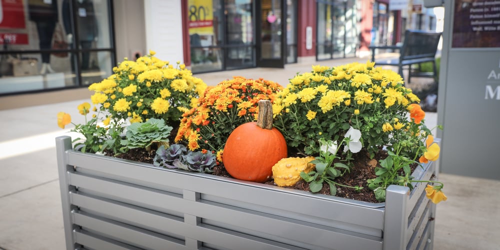 Container garden at commercial property