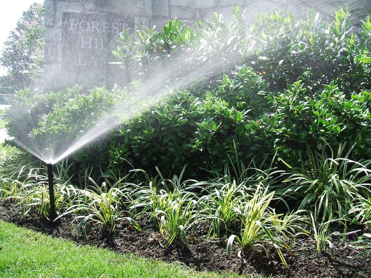 irrigation system waters plants