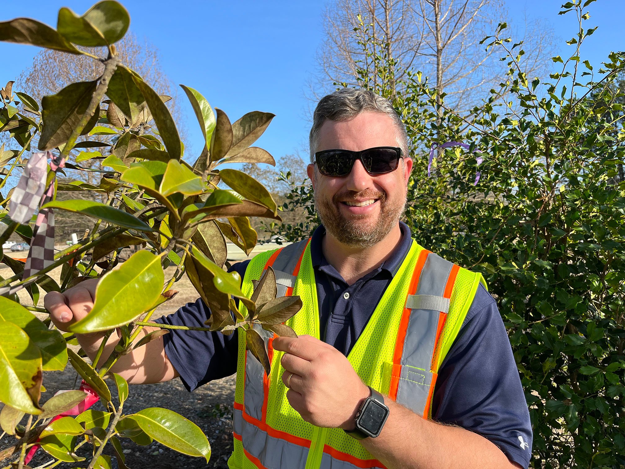 ISA-certified arborist Alex Moore with a Brackens Brown magnolia