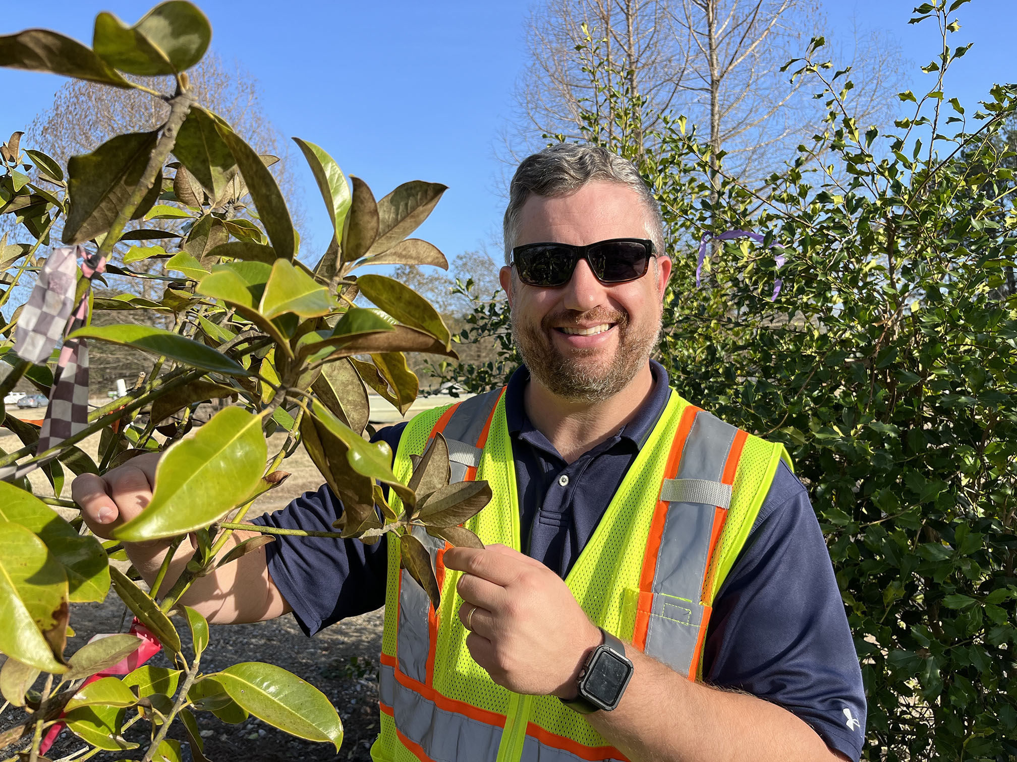 ISA-certified arborist Alex Moore with a Brackens Brown magnolia