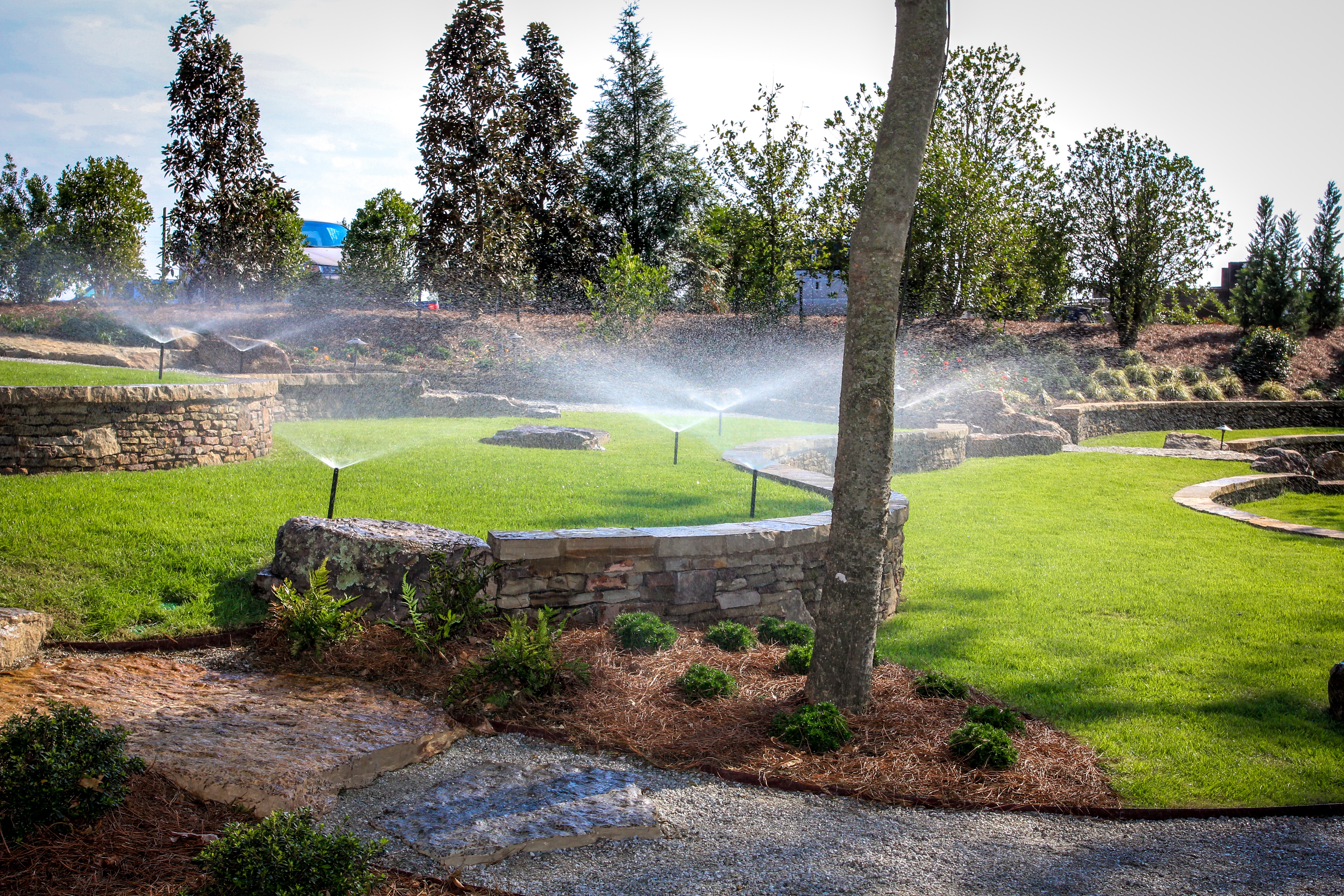 landscape with irrigation system