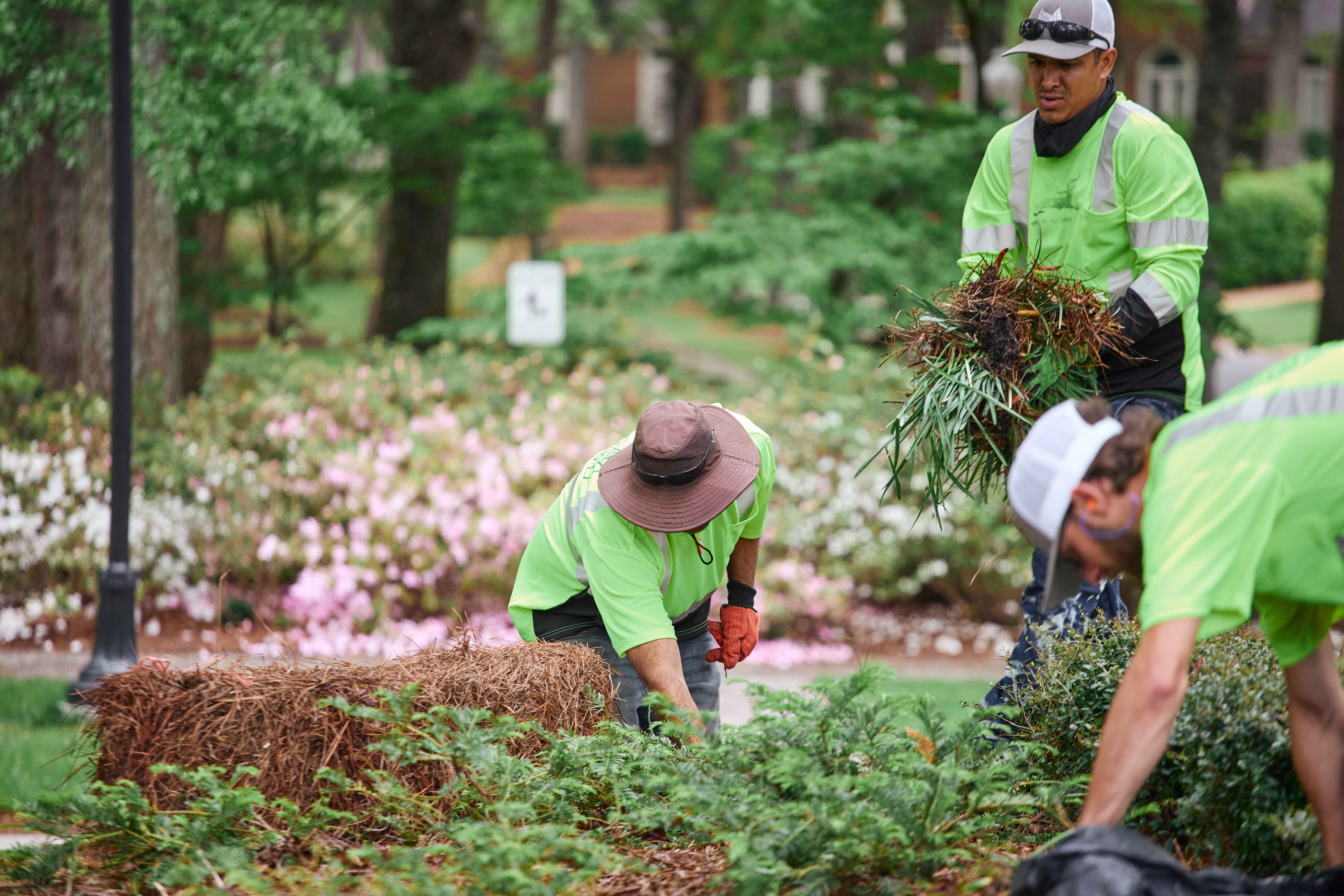 Southwind 2_Matt Wyatt_web