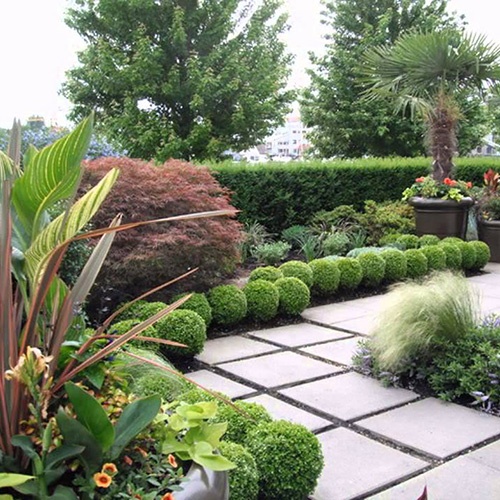 UrbanGardening2.jpg