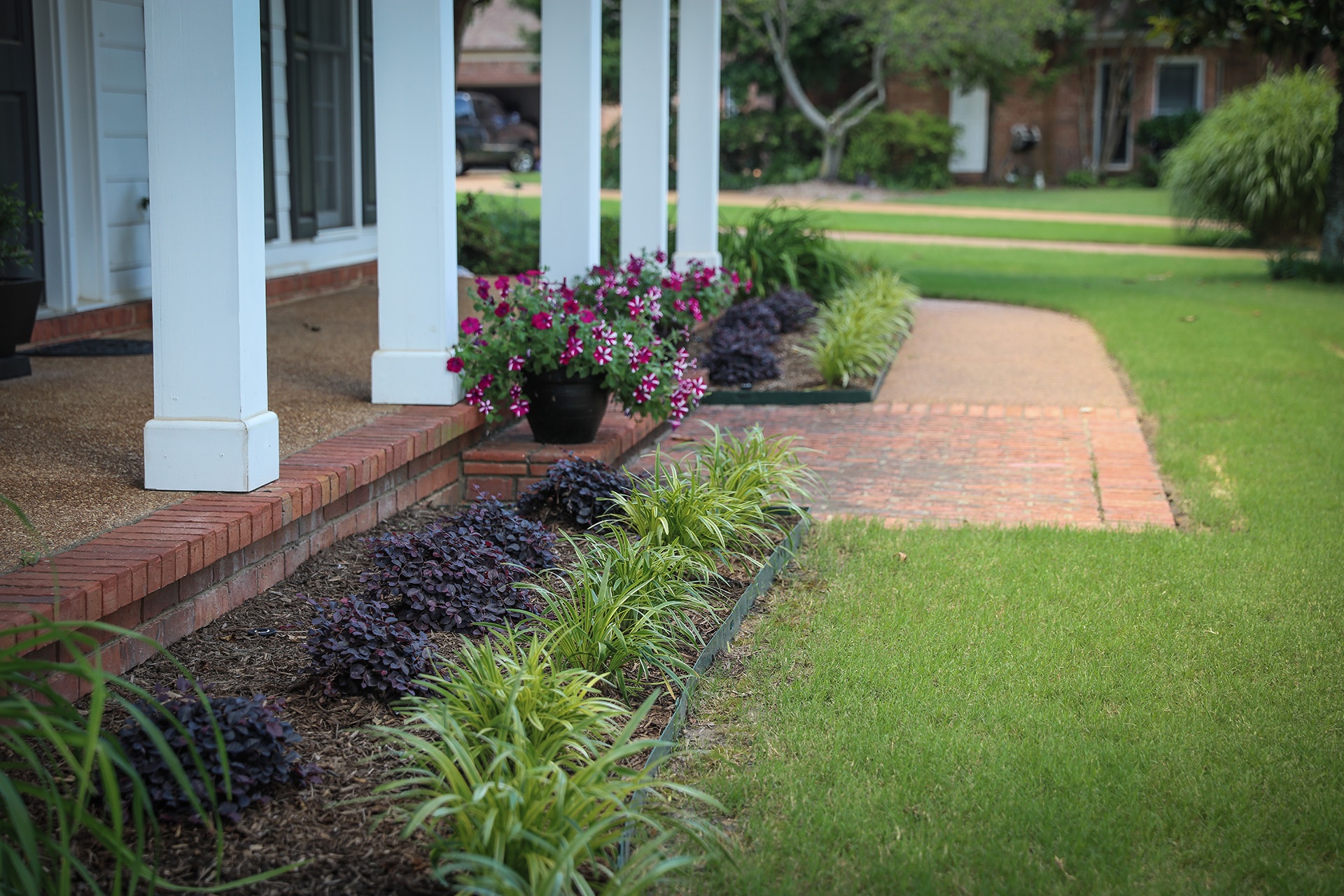 3 Ways to Solve Your Yard Drainage Issues