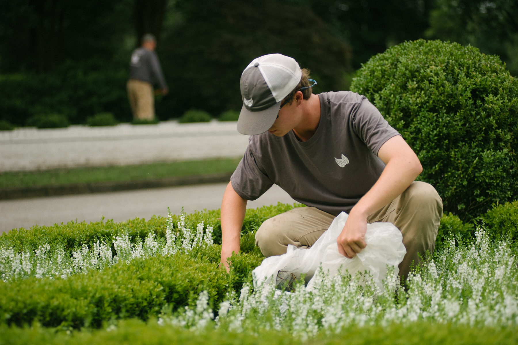 Commercial spring clean-up