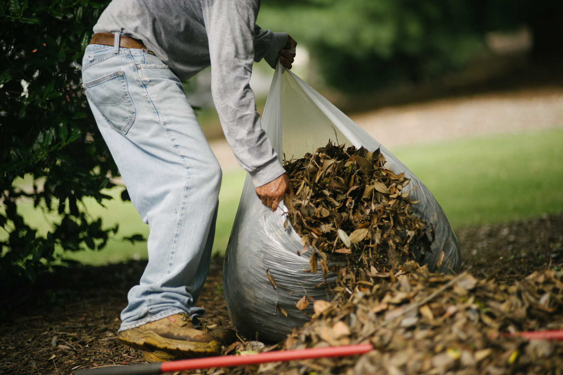 Commercial property leaf removal service